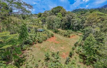 3.8 ACRES 2 BEDROOM HOME WITH WATERFALL ACCESS AND PRIVACY