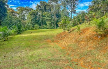 3.8 ACRES 2 BEDROOM HOME WITH WATERFALL ACCESS AND PRIVACY