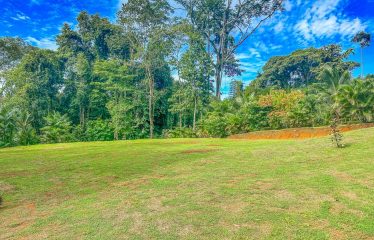 3.8 ACRES 2 BEDROOM HOME WITH WATERFALL ACCESS AND PRIVACY