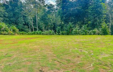 3.8 ACRES 2 BEDROOM HOME WITH WATERFALL ACCESS AND PRIVACY