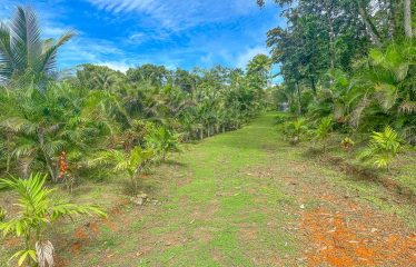 3.8 ACRES 2 BEDROOM HOME WITH WATERFALL ACCESS AND PRIVACY