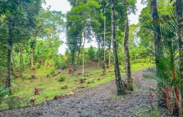 3.8 ACRES 2 BEDROOM HOME WITH WATERFALL ACCESS AND PRIVACY