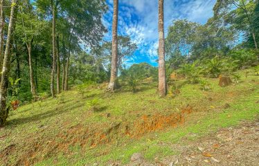 3.8 ACRES 2 BEDROOM HOME WITH WATERFALL ACCESS AND PRIVACY