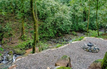 3.8 ACRES 2 BEDROOM HOME WITH WATERFALL ACCESS AND PRIVACY
