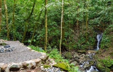 3.8 ACRES 2 BEDROOM HOME WITH WATERFALL ACCESS AND PRIVACY