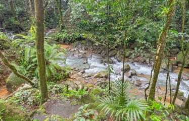 3.8 ACRES 2 BEDROOM HOME WITH WATERFALL ACCESS AND PRIVACY