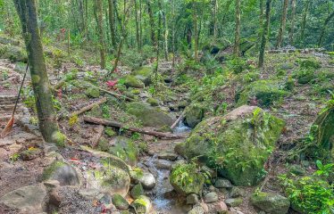 3.8 ACRES 2 BEDROOM HOME WITH WATERFALL ACCESS AND PRIVACY