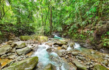 3.8 ACRES 2 BEDROOM HOME WITH WATERFALL ACCESS AND PRIVACY