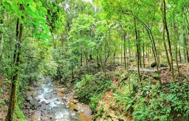 3.8 ACRES 2 BEDROOM HOME WITH WATERFALL ACCESS AND PRIVACY