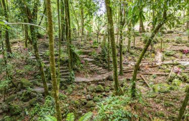 3.8 ACRES 2 BEDROOM HOME WITH WATERFALL ACCESS AND PRIVACY