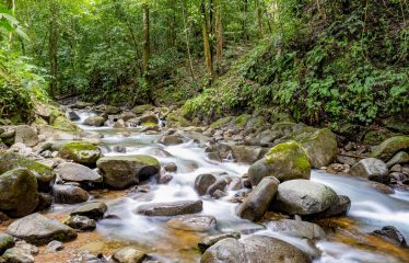 3.8 ACRES 2 BEDROOM HOME WITH WATERFALL ACCESS AND PRIVACY