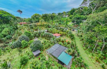 3.8 ACRES 2 BEDROOM HOME WITH WATERFALL ACCESS AND PRIVACY