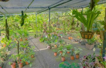 3.8 ACRES 2 BEDROOM HOME WITH WATERFALL ACCESS AND PRIVACY