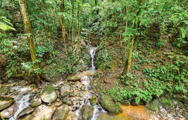 3.8 ACRES 2 BEDROOM HOME WITH WATERFALL ACCESS AND PRIVACY