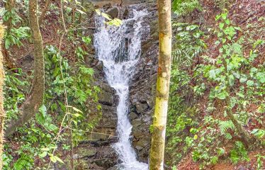 3.8 ACRES 2 BEDROOM HOME WITH WATERFALL ACCESS AND PRIVACY