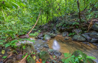 5 ACRES PROPERTY WITH 3 BEDROOM HOME, OCEAN AND MOUNTAIN VIEW