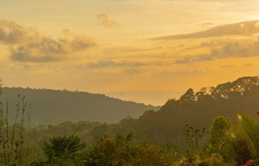 LUXURIOUS 3-BEDROOM HOME WITH MOUNTAIN & OCEAN VIEW – 3.32 ACRES