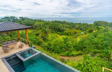 4 BEDROOM LUXURY HOME WITH AMAZING OCEAN VIEWS -1.35 ACRES