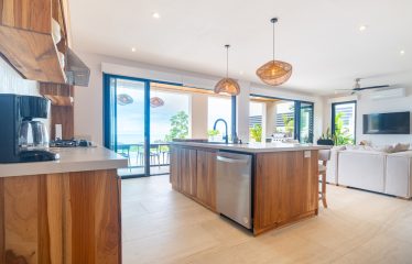 4 BEDROOM LUXURY HOME WITH AMAZING OCEAN VIEWS -1.35 ACRES