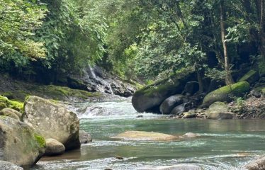 3-BEDROOM MOUNTAIN VIEW HOME WITH NATURE AND RIVER AROUND – 14 ACRES