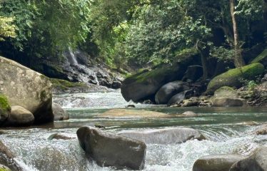 3-BEDROOM MOUNTAIN VIEW HOME WITH NATURE AND RIVER AROUND – 14 ACRES