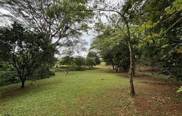 3-BEDROOM MOUNTAIN VIEW HOME WITH NATURE AND RIVER AROUND – 14 ACRES