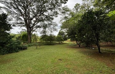 3-BEDROOM MOUNTAIN VIEW HOME WITH NATURE AND RIVER AROUND – 14 ACRES