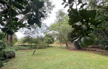 3-BEDROOM MOUNTAIN VIEW HOME WITH NATURE AND RIVER AROUND – 14 ACRES