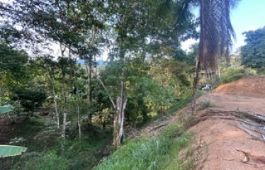 LUXURIOUS PRE-CONSTRUCTION 3-BEDROOM HOME IN DESIRED PLAYA HERMOSA – 0.57 ACRES