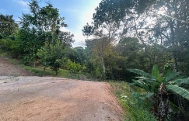 LUXURIOUS PRE-CONSTRUCTION 3-BEDROOM HOME IN DESIRED PLAYA HERMOSA – 0.57 ACRES