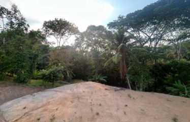 LUXURIOUS PRE-CONSTRUCTION 3-BEDROOM HOME IN DESIRED PLAYA HERMOSA – 0.57 ACRES