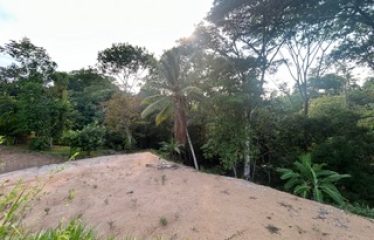 LUXURIOUS PRE-CONSTRUCTION 3-BEDROOM HOME IN DESIRED PLAYA HERMOSA – 0.57 ACRES