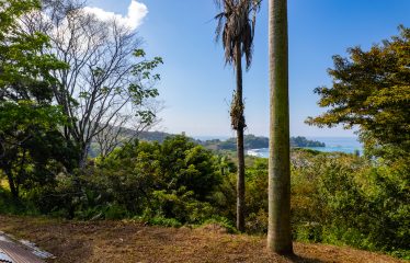 7. 34 ACRES – RESIDENCIAL OCEAN VIEW & COMMERCIAL PROPERTY NEAR THE BEACH