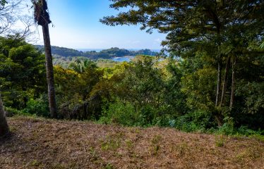 7. 34 ACRES – RESIDENCIAL OCEAN VIEW & COMMERCIAL PROPERTY NEAR THE BEACH