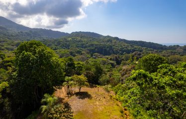 7. 34 ACRES – RESIDENCIAL OCEAN VIEW & COMMERCIAL PROPERTY NEAR THE BEACH