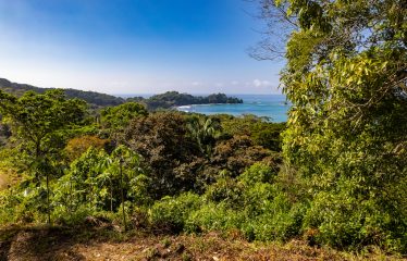 7. 34 ACRES – RESIDENCIAL OCEAN VIEW & COMMERCIAL PROPERTY NEAR THE BEACH