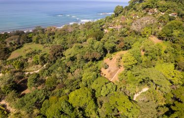 7. 34 ACRES – RESIDENCIAL OCEAN VIEW & COMMERCIAL PROPERTY NEAR THE BEACH