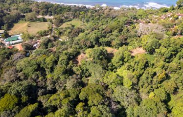 7. 34 ACRES – RESIDENCIAL OCEAN VIEW & COMMERCIAL PROPERTY NEAR THE BEACH