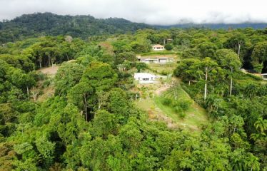 LUXURIOUS 3-BEDROOM HOME WITH MOUNTAIN & OCEAN VIEW – 3.32 ACRES