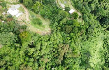 LUXURIOUS 3-BEDROOM HOME WITH MOUNTAIN & OCEAN VIEW – 3.32 ACRES