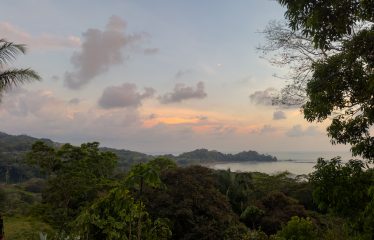 7. 34 ACRES – RESIDENCIAL OCEAN VIEW & COMMERCIAL PROPERTY NEAR THE BEACH