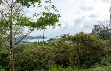 7. 34 ACRES – RESIDENCIAL OCEAN VIEW & COMMERCIAL PROPERTY NEAR THE BEACH