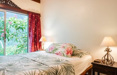 9.5 ACRES  – WHALE TAIL AND OCEAN VIEW HOME IN GATED COMMUNITY