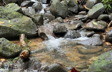 HOME WITH OCEAN VIEW AND CREEK ACCESS – 1.77 ACRES