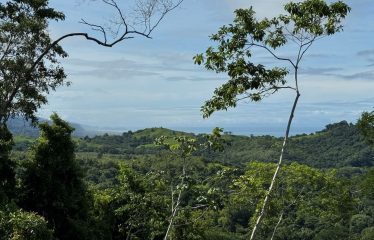 AMAZING OCEAN VIEW LOT FOR SALE IN GATED COMMUNITY – 3.7 ACRES