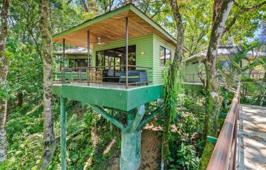 OWNER HOME AND TREE HOUSE VILLAS – 1.35 ACRES