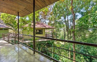 OWNER HOME AND TREE HOUSE VILLAS – 1.35 ACRES