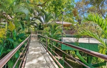 OWNER HOME AND TREE HOUSE VILLAS – 1.35 ACRES