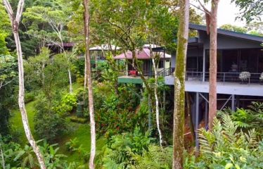 OWNER HOME AND TREE HOUSE VILLAS – 1.35 ACRES