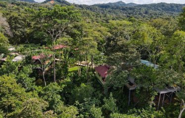 OWNER HOME AND TREE HOUSE VILLAS – 1.35 ACRES